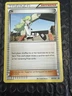 N BW100 P BW BLACK STAR PROMOS POKEMON NM