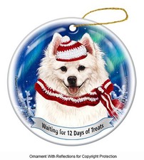 American Eskimo Northern Lights Twelve Days of Treats Holiday Ornament
