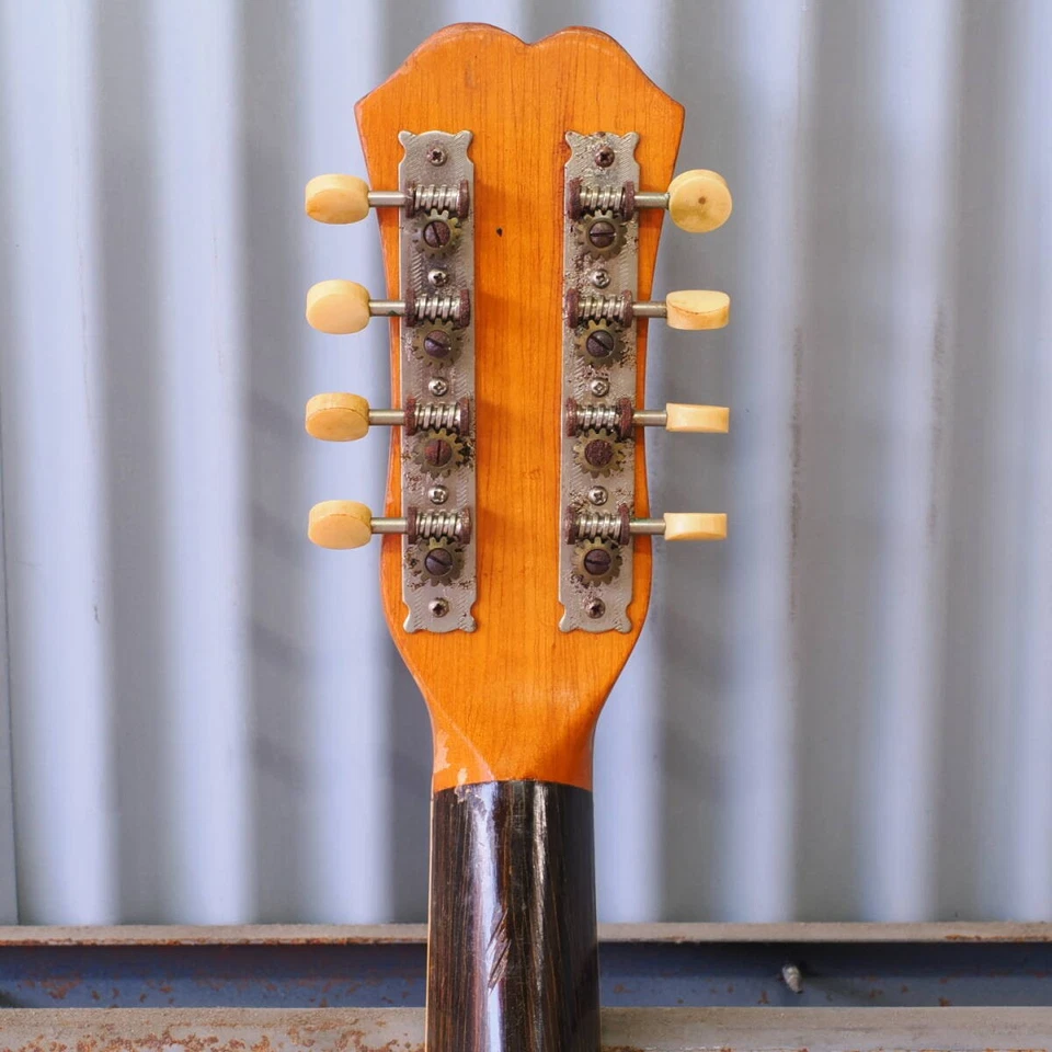 a) Mandolin SUZUKI MANDOLA 502 1965 Suzuki violin - Image 4 of 4