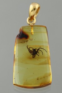 Authentic Fossil SPIDER Genuine BALTIC AMBER Gold Plated Silver Pendant 1.7g 260319-8
