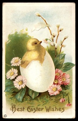 Postcard Easter Wishes, Chick Hatching From Egg with Flowers