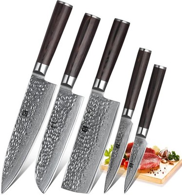 XINZUO Kitchen Cutting Knife Set of 5 Hammered Damascus 67 Layer Blade Gift Box