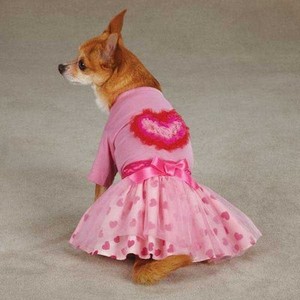 ebay dog dresses