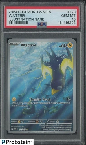 2024 POKEMON TWM EN-TWILIGHT MASQUERADE #178 WATTREL ILLUSTRATION RARE PSA 10