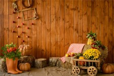 Rustic Harvest Festival Thanksgiving Vinyl Backdrop Background Studio Props