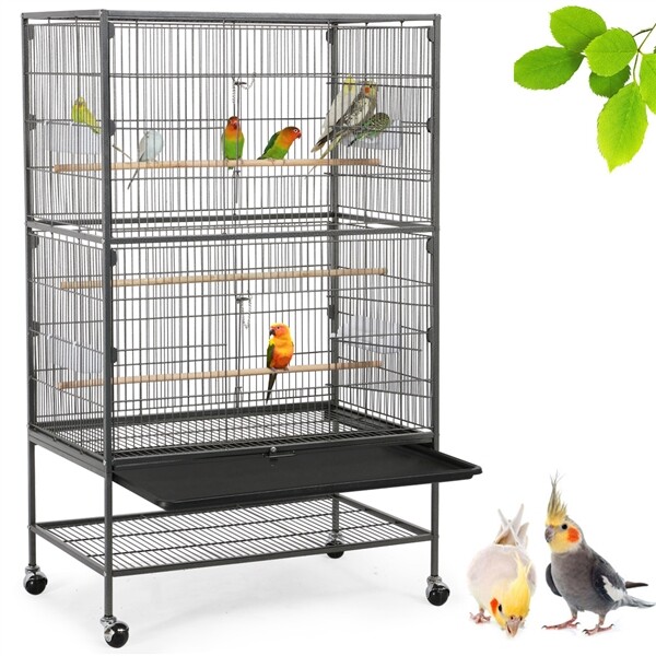parrot cage price
