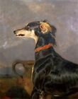 Art Oil painting A-Saluki-Dog-Sir-Edwin-La ndseer dog pot in landscape art
