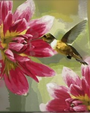 Artist  s Loft Paint By Number Kit - Hummingbird 46pc - New Missing Wood Hanger