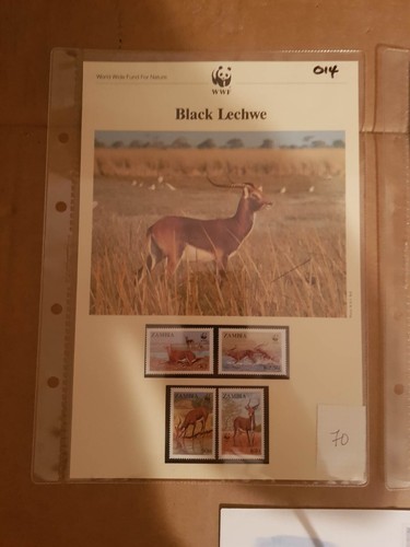 World Wildlife Fund WWF Editorial Stamps & FDC Discounts 20% 4+ items 95 listed - Picture 423 of 634
