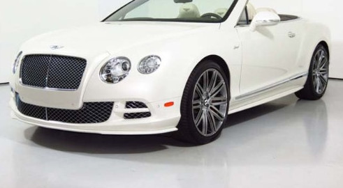 Front Bumper Air Guide OE Style For Bentley 2012-2015