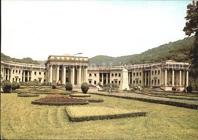 Sochi Macesta