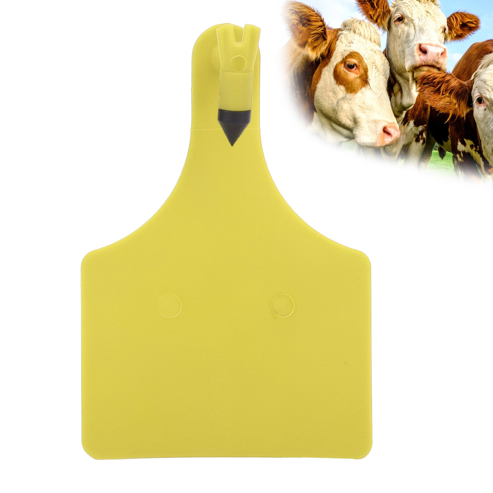 10pcs Animal Extra Large Blank Ear Livestock TPU Ear For Goat Sheep Ca