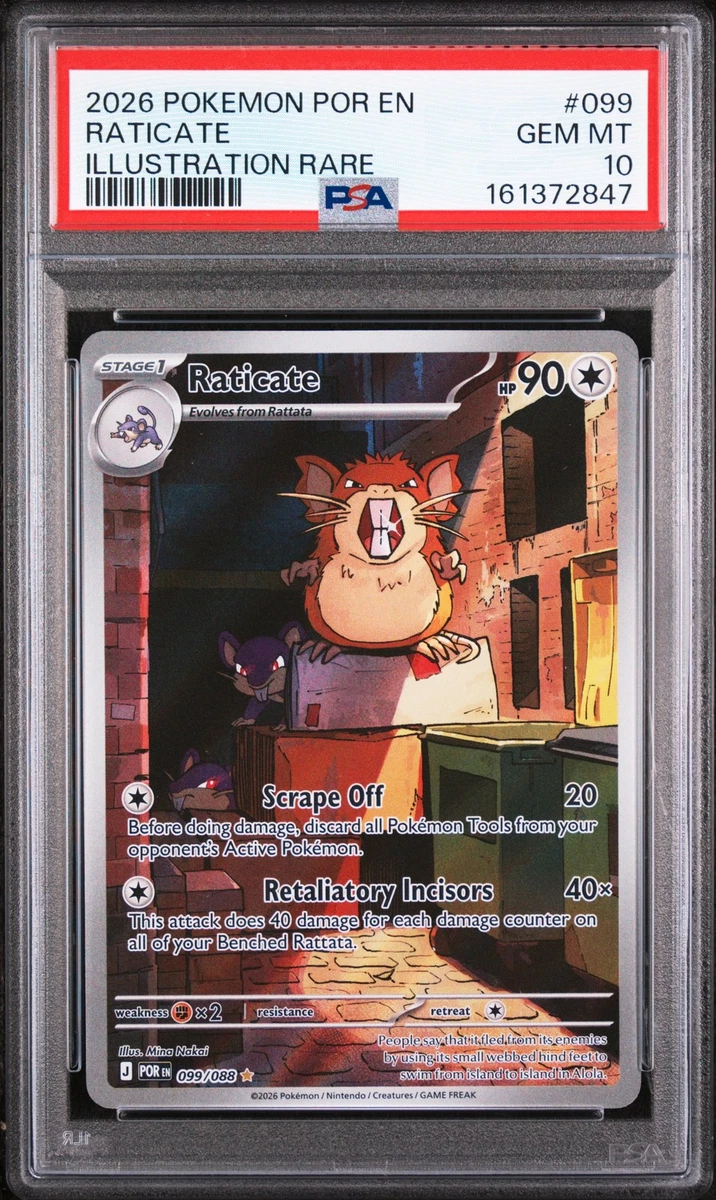 Raticate Pokémon TCG Cards for sale | eBay