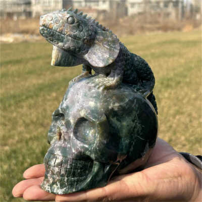 シャーク　マウス　スカル　オブジェ 3.74L Natural Carved Ocean Jasper Lizard Skull Reiki Crystal Skull