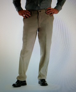 stain resistant pants