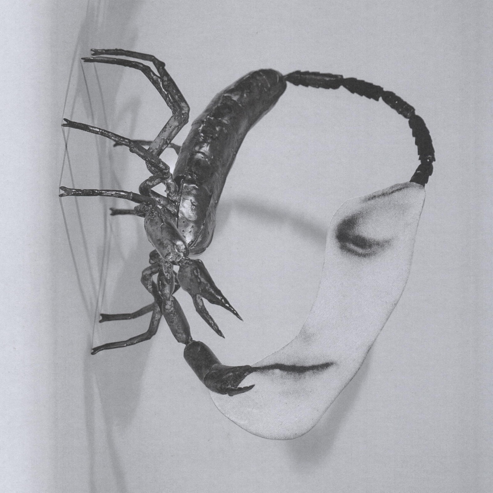 Tortoise TOUCH  with Bonus Track From Japan CD 11tracks