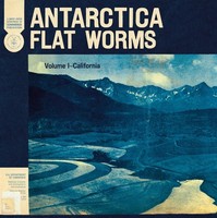 Antarctica - 375 Media - (Vinyl / Musik)