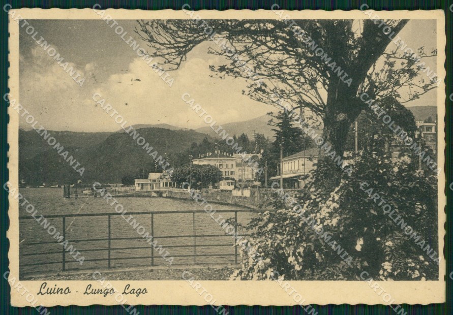 Varese Luino FG cartolina ZK4980