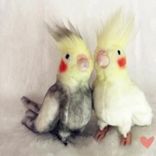 Simulation Bird Cockatiel Parrot Doll Bird Stuffed Animal Plush Toy Kids Gift