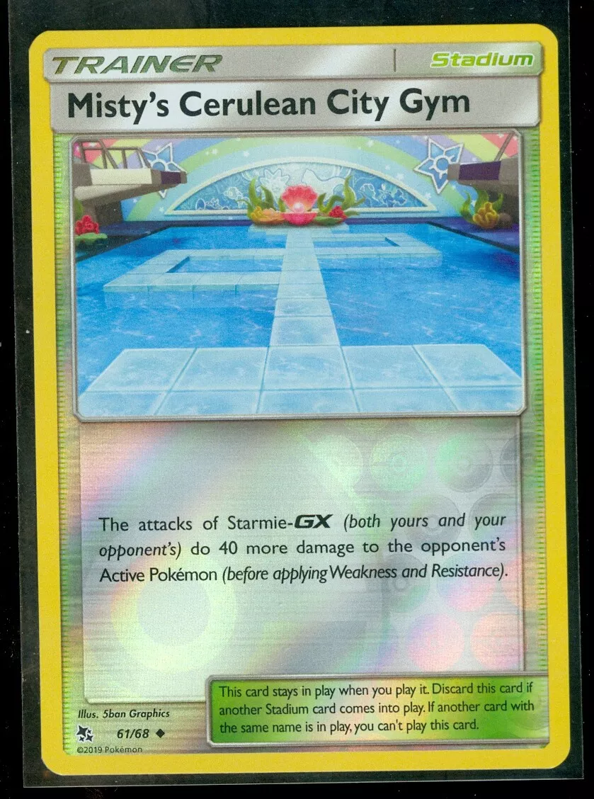 Cerulean City Gym