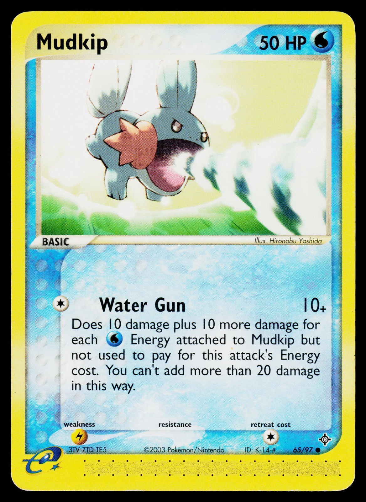 Mudkip 65/97 EX Dragon Common