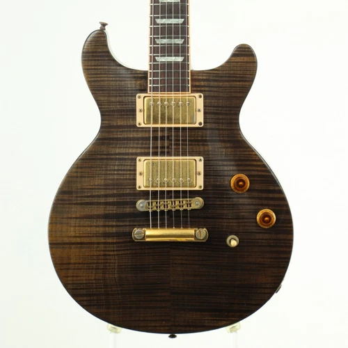 Gibson Usa / Les Paul Standard Double Cutaway Black Pepper