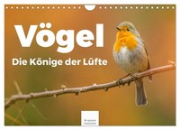 Calendar 2027 · US Version · Birds - The Kings Of The Air (Wall Calendar 2027 12