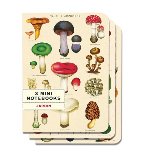 Cavallini - Set of 3 Mini Notebooks - Le Jardin - Lined, Blank & Graph Interiors - Picture 2 of 6