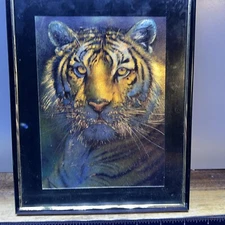 VTG 3D/Holographic/Foil Tiger in Black Frame 8 1/4 x 10 1/4”
