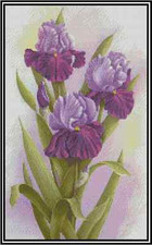 Irises Flowers Counted Cross Stitch Chart No.14-148 