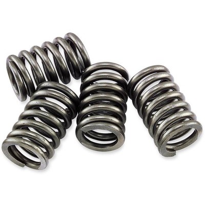 EBC Clutch Springs CSK11CL77