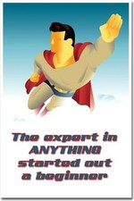 The Expert in Anything Started Out a Beginner - Classroom Motivational POSTER
