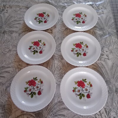 SET MIT 6 DESSERTTELLERN ARCOPAL ROSEN UND HAGEBUTTEN VINTAGE