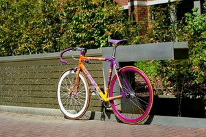 pinarello lungavita for sale