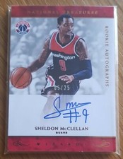 2016-17 Panini National Treasures Rookie Autographs Sheldon McClellan #05/25