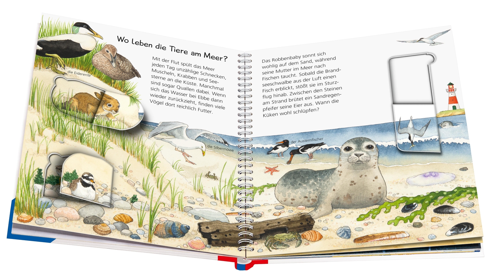 Thumbnail - Wieso? Weshalb? Warum? Junior, Band 33: Tiere Bei Uns, Patricia Mennen