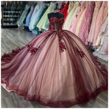 Princess Strapless Quinceanera Dresses Ball Gown Floral Applique Lace Up Sweet16