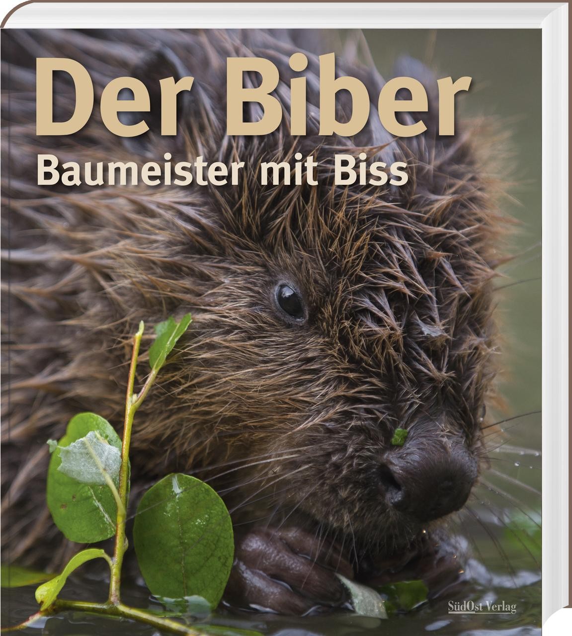Der Biber Markus Schmidbauer