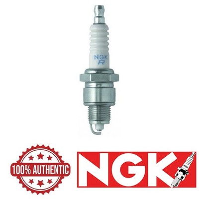 NEW 02-11 YAMAHA YW50 YW 50 ZUMA NGK SPARK PLUG BPR7HS
