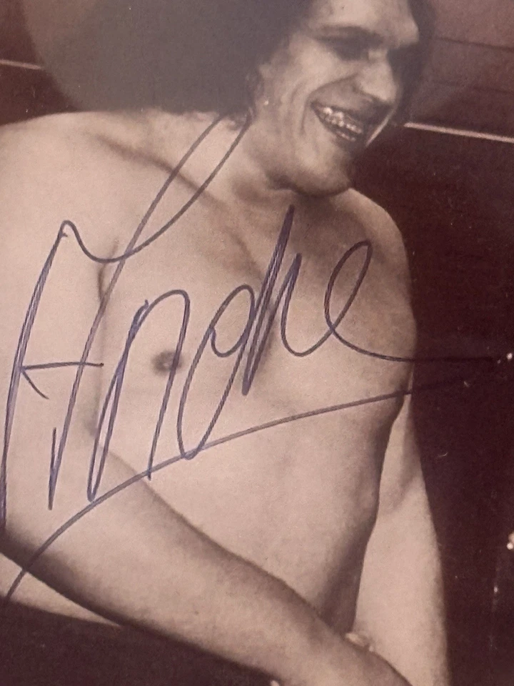 Firmas fotográficas de Andre el Gigante y Bruno Sammartino no autenticadas - De colección Foto 2 de 4