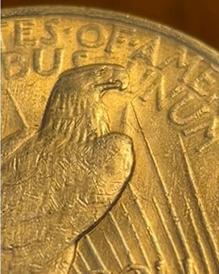 NICE DIE CLASH! 1923-P Peace Dollar Error. Spike, Eagles Right Shoulder. PD-003 - Image 2 of 4