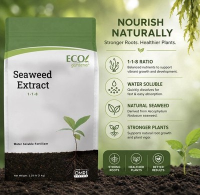Ecogardener Seaweed Extract 2.2 lb Organic Kelp Powder Plant Growth Support