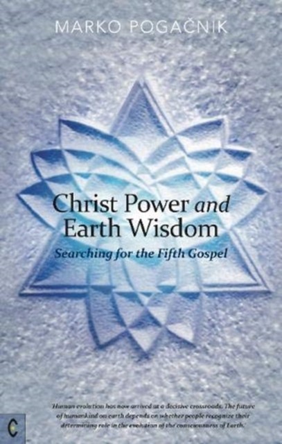 Christ Power and Earth Wisdom by Marko Pogacnik (Paperback Book)