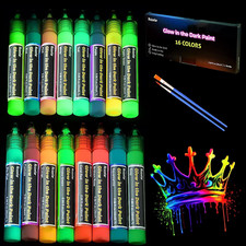 Roizefar Fabric Paint, 16 Colors Glow in the Dark Paint, 3D Permanent Acrylic Te