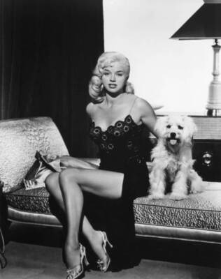 Diana Dors poses in negligee on bed with pet dog circa 1958 Old Photo