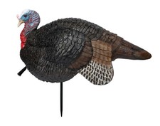 Primos Lil Gobbstopper Jake Turkey Decoy