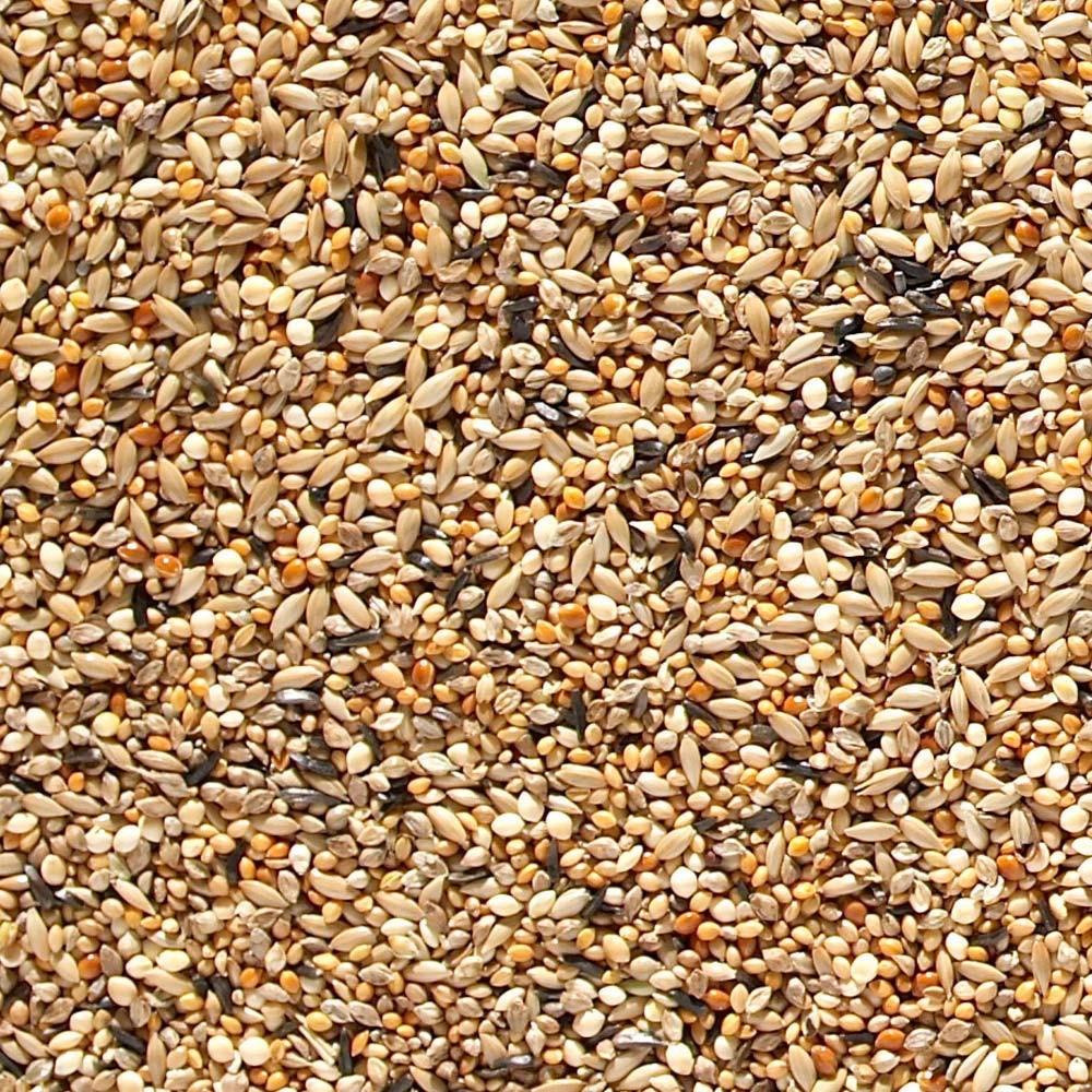 Johnston and Jeff ABZ Finch Seed 20Kg