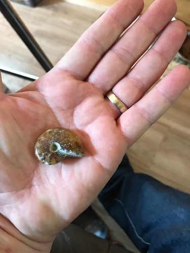 Natural Iridescent Ammonite Facet Specimen Fossil Madagascar Collectible Stone E - Foto 11