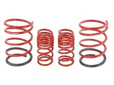 Skunk2 Lowering Springs - Civic - 2001-2005 - 519-05-1570 Skunk2 Lowering Springs - Civic - 2001-2005 - 519-05-1570