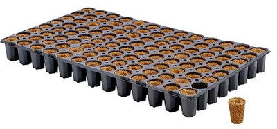 Eazy Plug Anzuchtblöcke Tray CT104C 104 Stück rund groß